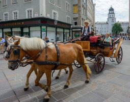 Bavarian Day Tours Salzburg Horse-Drawn Carriage