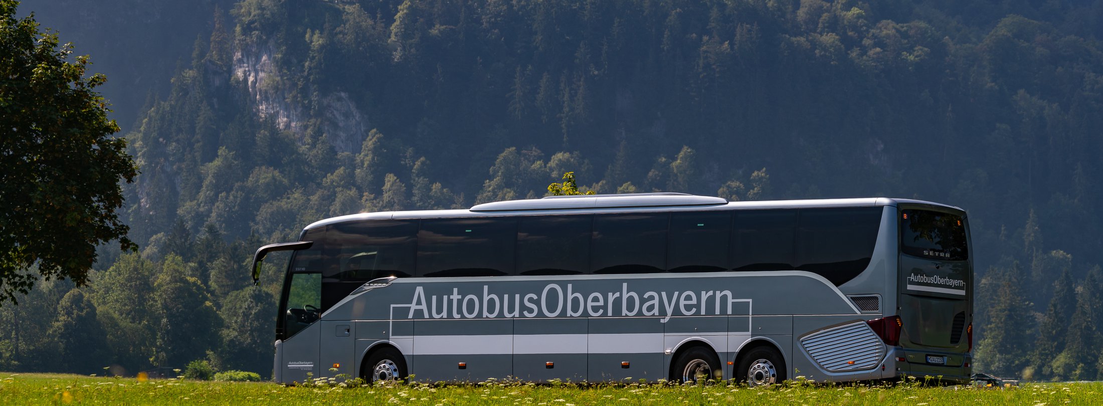 Bavarian Day Tours Neuschwanstein Tour von München Autobus