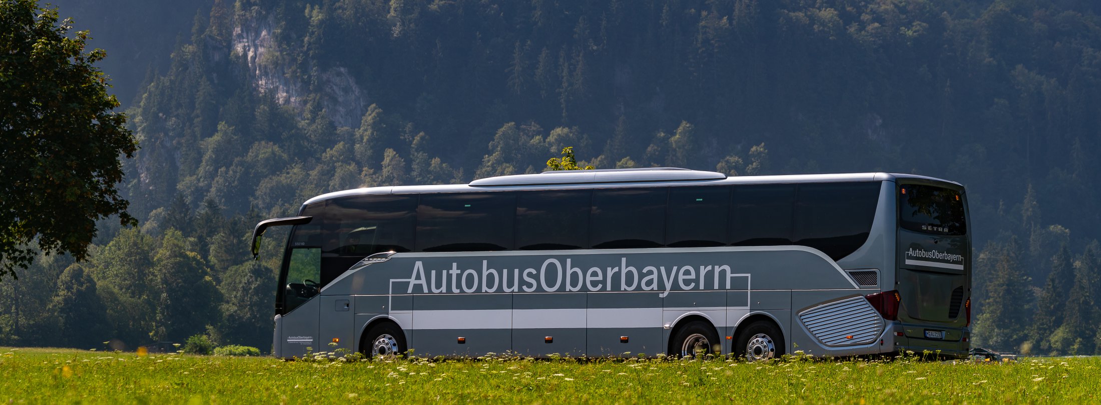 Bavarian Day Tours Neuschwanstein Tour von München Autobus